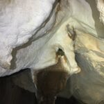 Mulu caves